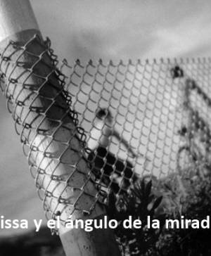 imagen ultima noticia cultura