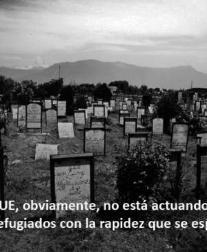 imagen ultima noticia vivir