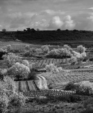 imagen ultima noticia turismo