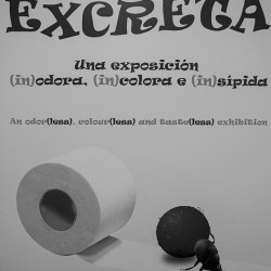 imagen tema 354