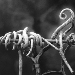 imagen tema 364