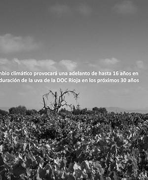 imagen ultima noticia vivir