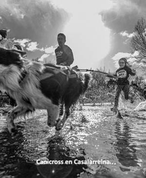 imagen ultima noticia deporte