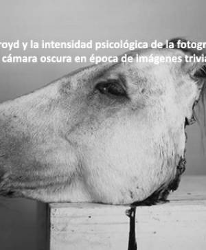 imagen ultima noticia cultura