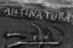 noticia de cultura 2126 