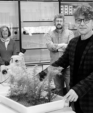 imagen ultima noticia vivir