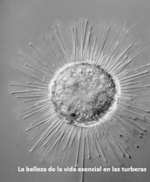 imagen ultima noticia cultura